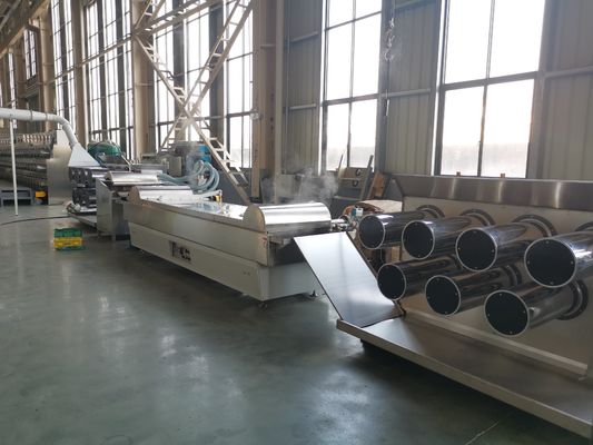 Αγορά 55kw 6400 νάυλον διακόσμηση κήπων μηχανών εξωθητών Dtex online manufacture